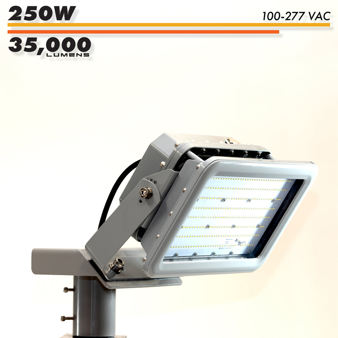 Class 1 Div 2 250W LED Flood Light